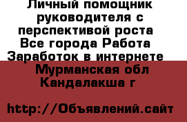 Личный помощник руководителя с перспективой роста - Все города Работа » Заработок в интернете   . Мурманская обл.,Кандалакша г.